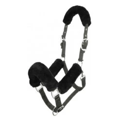 LeMieux Comfort Head Collar -Riding Horse Apparel Shop e3ee476bbf2ea9fa5167a404cc939350.image .1200x1200 1835d706 41bb 4e33 aac6 a510057373ac