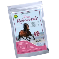 Farmalogic Rejuvenate - Equine Digestive Supplement