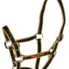 Vibrant Equestrian Halter -Riding Horse Apparel Shop halter 13553.1533555370