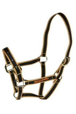 Vibrant Equestrian Halter