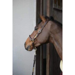 Kentucky Leather Grooming Halter -Riding Horse Apparel Shop img 4931 4b0bf793 1f44 4149 a328 2b168f46bb96