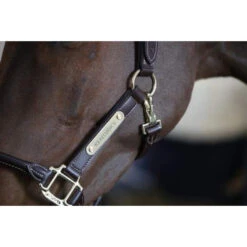 Kentucky Leather Anatomic Halter -Riding Horse Apparel Shop img 5049 0 96b328c8 50b2 4867 b029 70a751425104
