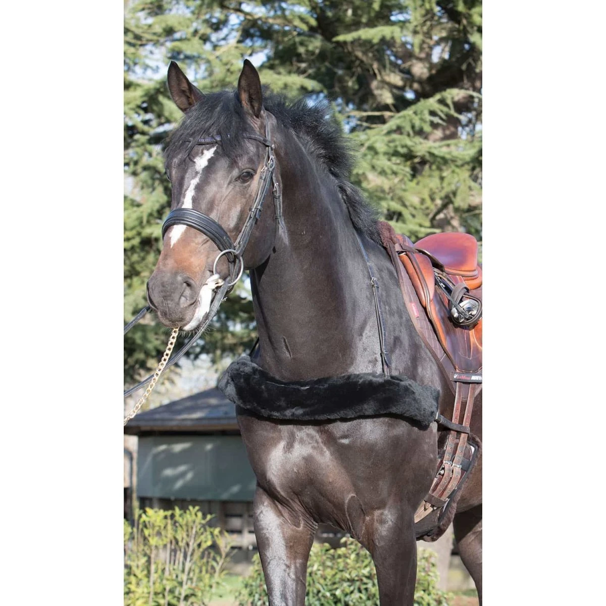 LeMieux Breastplate Cover 5 LeMieux Breastplate Cover - Image 3