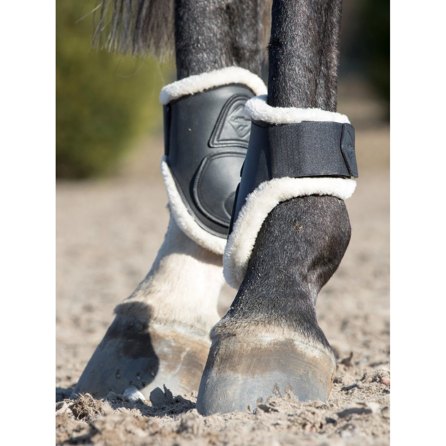 LeMieux Capella Comfort Jumping Boots 9 LeMieux Capella Comfort Jumping Boots - Image 7