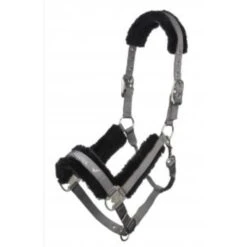 LeMieux Loire Headcollar *Discontinued* 10 LeMieux Loire Headcollar *Discontinued* -Riding Horse Apparel Shop lemieux loire headcollar halter 3 7cced2c7 609c 43ea aaee 5e6ef77d8eb0