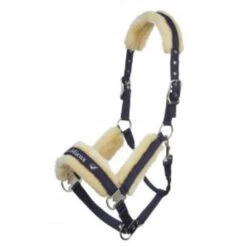LeMieux Loire Headcollar *Discontinued* 11 LeMieux Loire Headcollar *Discontinued* -Riding Horse Apparel Shop lemieux loire headcollar halter 4 7c8bce91 24f4 44d4 abde 34122fd242b1