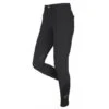 LeMieux Monsieur Men's Breeches -Riding Horse Apparel Shop lemieux monsieur mens breeches southern sport horses