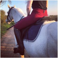 LeMieux Pace Breeches In [Colour/Size] -Riding Horse Apparel Shop lemieux pace breeches in coloursize southern sport horses 7
