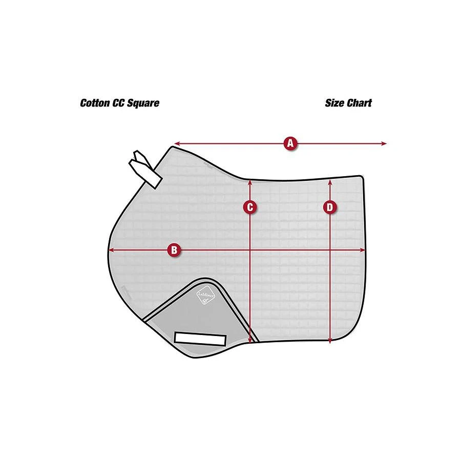 LeMieux ProSorb Plain Close Contact Squarenn 8 LeMieux ProSorb Plain Close Contact Squarenn - Image 6