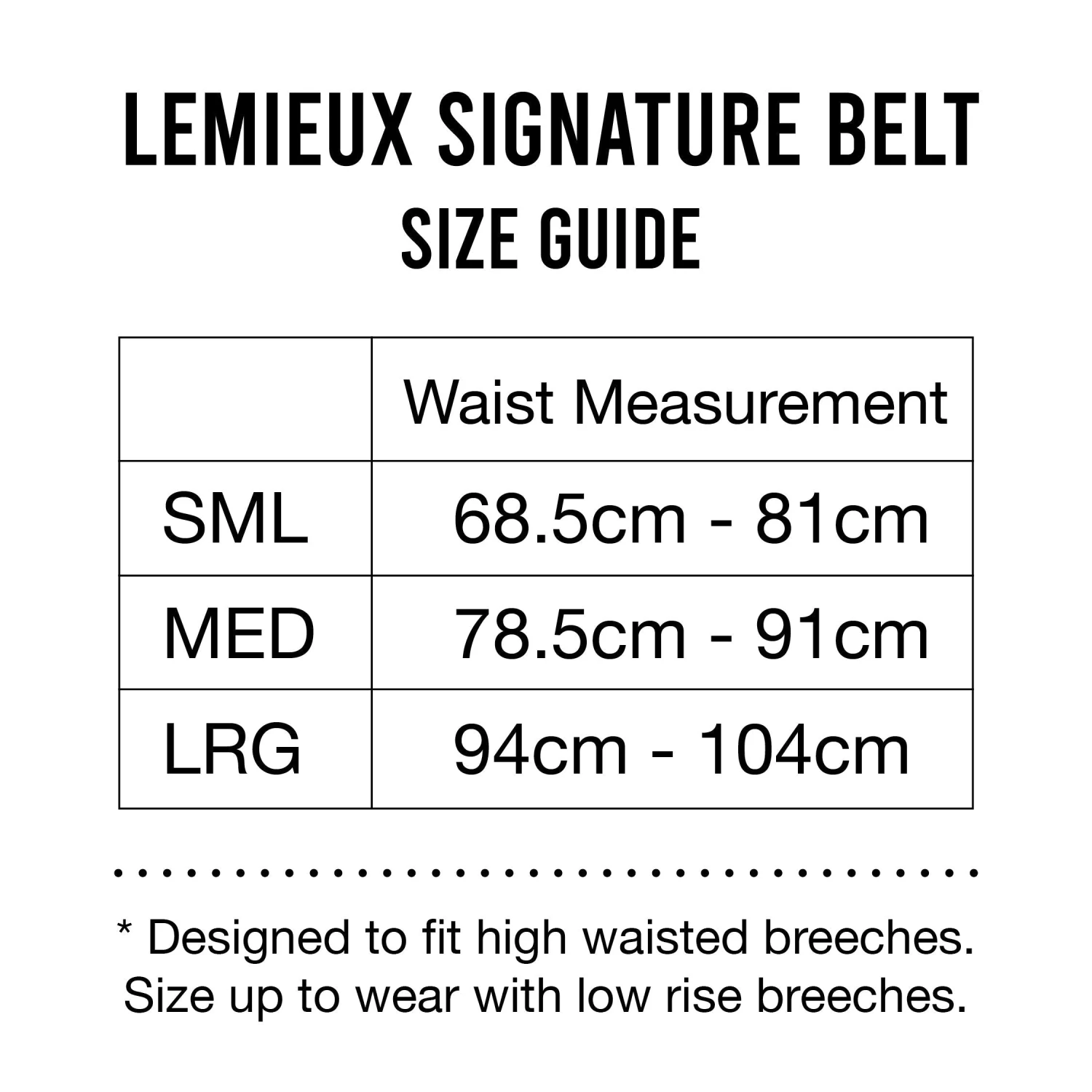 LeMieux Signature Leather Belt 8 LeMieux Signature Leather Belt - Image 6