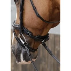 Premier Equine Favoloso Anatomic Bridle 7 Premier Equine Favoloso Anatomic Bridle -Riding Horse Apparel Shop premier equine favoloso anatomic bridle southern sport horses 3