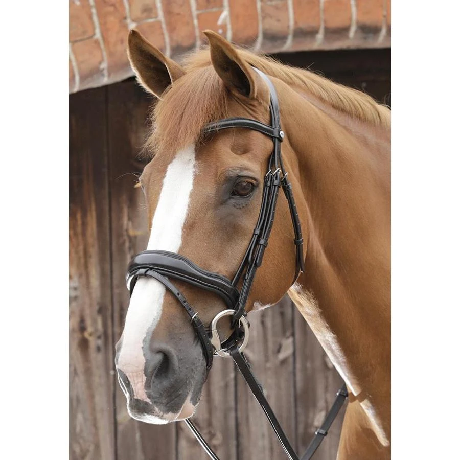 Premier Equine Favoloso Anatomic Bridle 3 Premier Equine Favoloso Anatomic Bridle