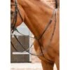 Premier Equine Gressan Standing Martingale -Riding Horse Apparel Shop premier equine gressan standing martingale southern sport horses