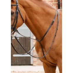 Premier Equine Gressan Standing Martingale