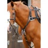 Premier Equine Invorio 5 Point Breastplate 1 Premier Equine Invorio 5 Point Breastplate -Riding Horse Apparel Shop premier equine invorio 5 point breastplate southern sport horses