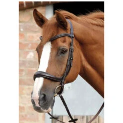 Premier Equine Lambro Anatomic Bridle With Crank Noseband -Riding Horse Apparel Shop premier equine lambro anatomic bridle with crank noseband southern sport horses 3