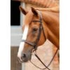 Premier Equine Primo Hunter Bridle -Riding Horse Apparel Shop premier equine primo hunter bridle southern sport horses