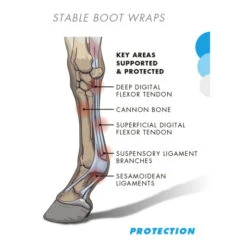 Premier Equine Stable Boot Wraps 8 Premier Equine Stable Boot Wraps -Riding Horse Apparel Shop premier equine stable boot wraps southern sport horses 3