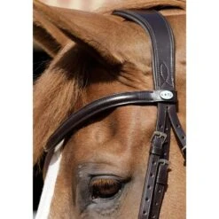 Premier Equine Verdura Anatomic Snaffle Bridle -Riding Horse Apparel Shop premier equine verdura anatomic snaffle bridle southern sport horses 3