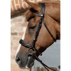 Premier Equine Verdura Anatomic Snaffle Bridle -Riding Horse Apparel Shop premier equine verdura anatomic snaffle bridle southern sport horses 4