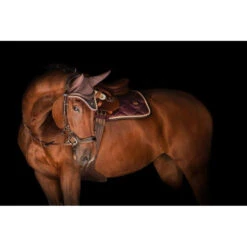 PSOS Ear Bonnet Wine 8 PSOS Ear Bonnet Wine -Riding Horse Apparel Shop psos ear bonnet wine vivarchie equestrian 3