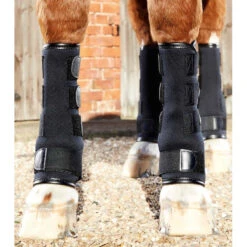 Shop Premier Equine Turnout Boots - High-Quality Protection For Your Horse's Legs 9 Shop Premier Equine Turnout Boots - High-Quality Protection For Your Horse's Legs -Riding Horse Apparel Shop shop premier equine turnout boots high quality protection for your horses legs southern sport horses 3
