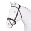 The Acavallo Poesia Bridle For Equestrian Enthusiasts -Riding Horse Apparel Shop the acavallo poesia bridle for equestrian enthusiasts southern sport horses