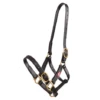 Zilco 25mm PN Halter -Riding Horse Apparel Shop zilco 25mm pn halter head stalls