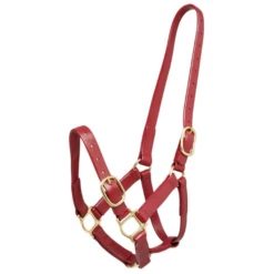 Zilco 25mm PN Halter -Riding Horse Apparel Shop zilco 25mm pn halter head stalls 3