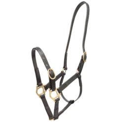 Zilco 3/4" PN Halter -Riding Horse Apparel Shop zilco 34 pn halter head stalls 4