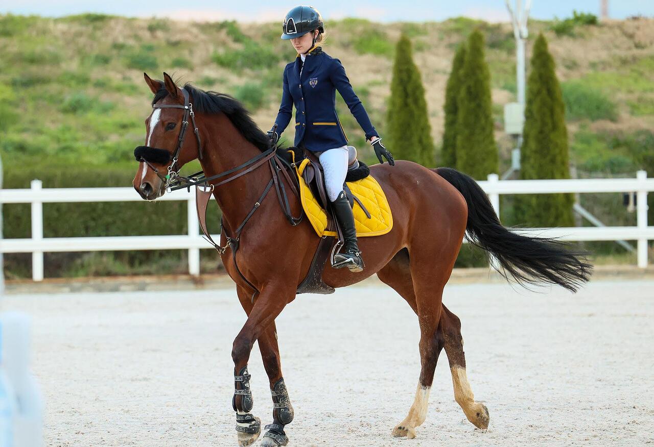 Riding Horse Apparel Shop 7 Riding Horse Apparel Shop -Riding Horse Apparel Shop 36 facts about equestrian 1730389173