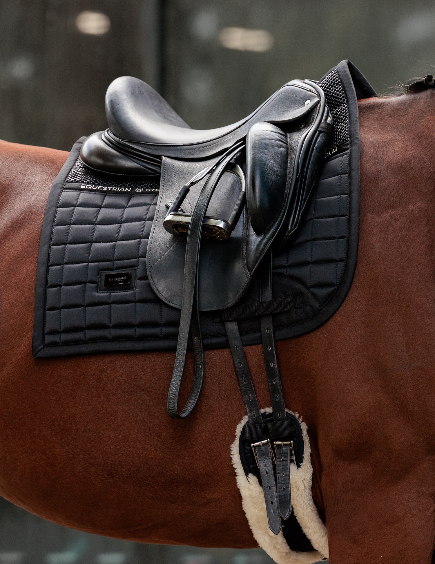 Riding Horse Apparel Shop 23 Riding Horse Apparel Shop -Riding Horse Apparel Shop sportive black dressage saddle pad1